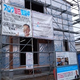 DSC_3205aa