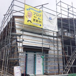 S__39878659