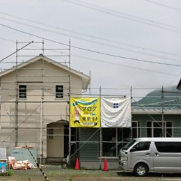 DSC_8370aa