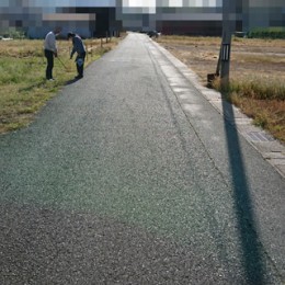 DSC_7673a