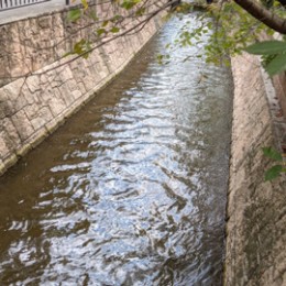 22823762_s