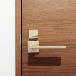22337847_s