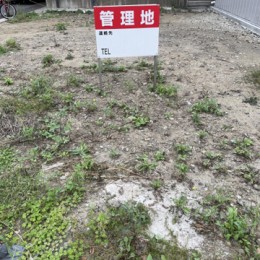 25057924_s
