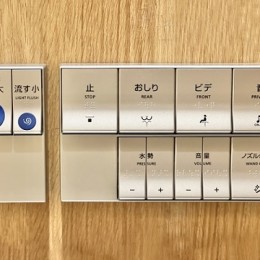 24895090_s