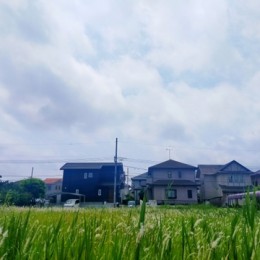 242001717_s