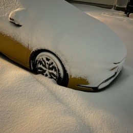 S__15450115
